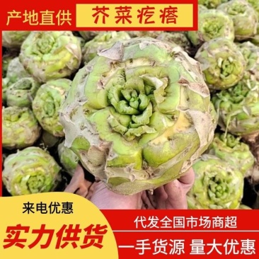 芥菜疙瘩万亩基地质量保证诚信商家发全国酱菜厂用