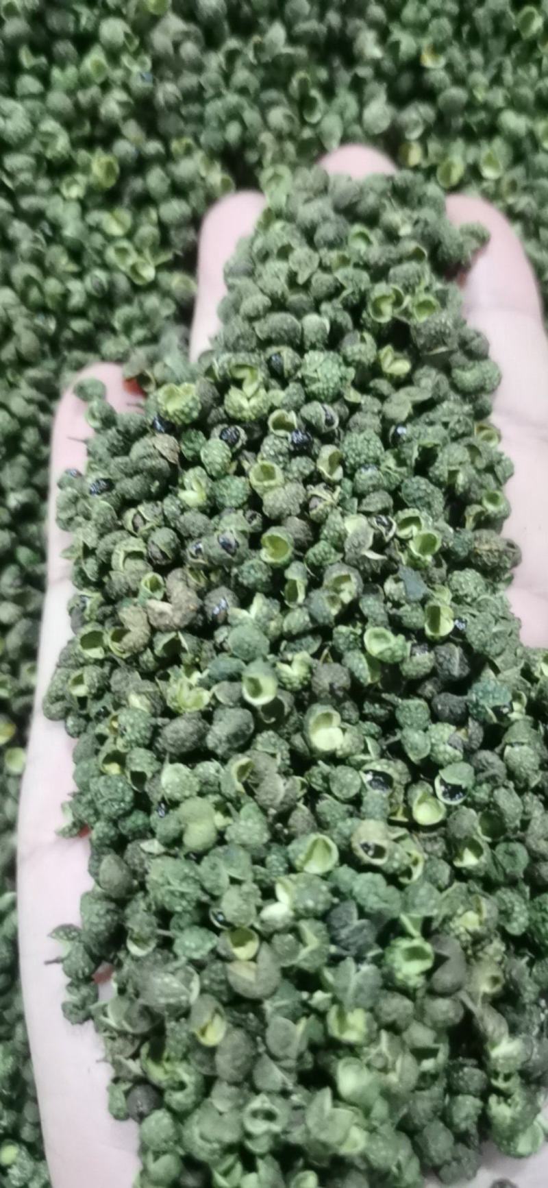 青花椒，开口率60%，江津青花椒，重庆花椒，大量供应
