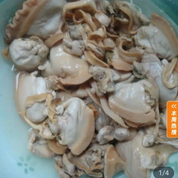 河蚌肉，非养殖