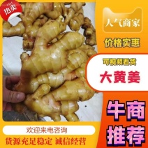 生姜大黄姜小黄姜山东大姜姜厂直发水洗窖藏规格全