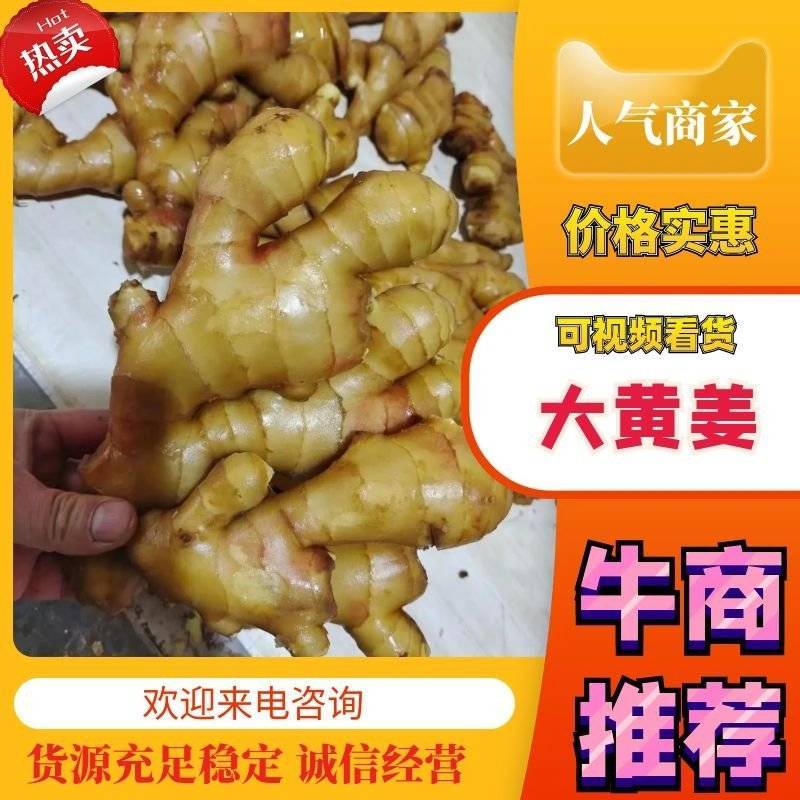生姜大黄姜小黄姜山东大姜姜厂直发水洗窖藏规格全
