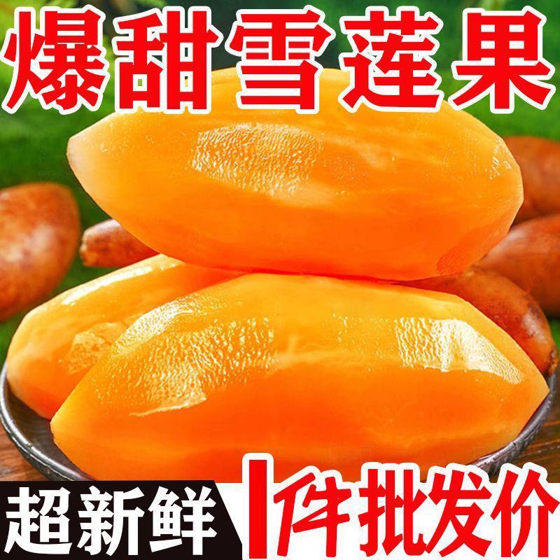 云南天山红心雪莲果黄心中圆果大量供货，支持一件代发批发