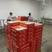 山药南瓜酥2斤装厂家批发盒装超市商超电商适合做八斤装