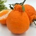 【实力】丑橘味甜汁多专业代办产地直发诚信经营可办理出口