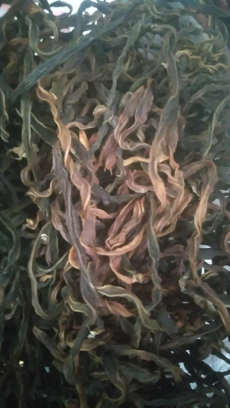 脱水长豆角