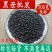 中药材黑丑二丑牵牛子新货野生无杂质黑丑新鲜干货牵牛子包邮