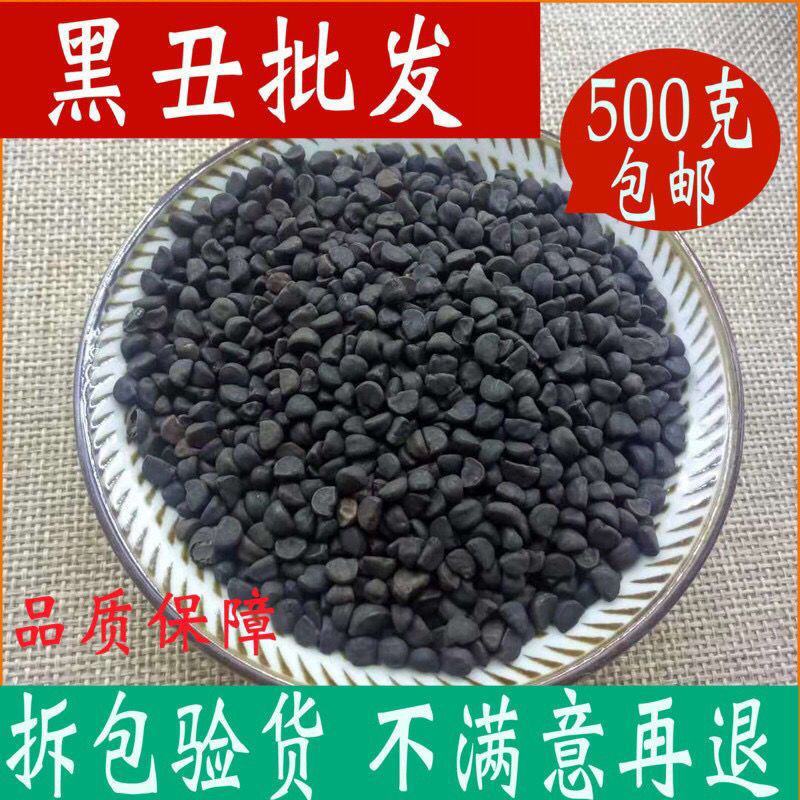 中药材黑丑二丑牵牛子新货野生无杂质黑丑新鲜干货牵牛子包邮