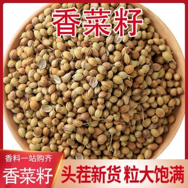 今年新货香菜籽香籽芫荽子芫茜孑香菜籽胡荽籽香料调味卤料调