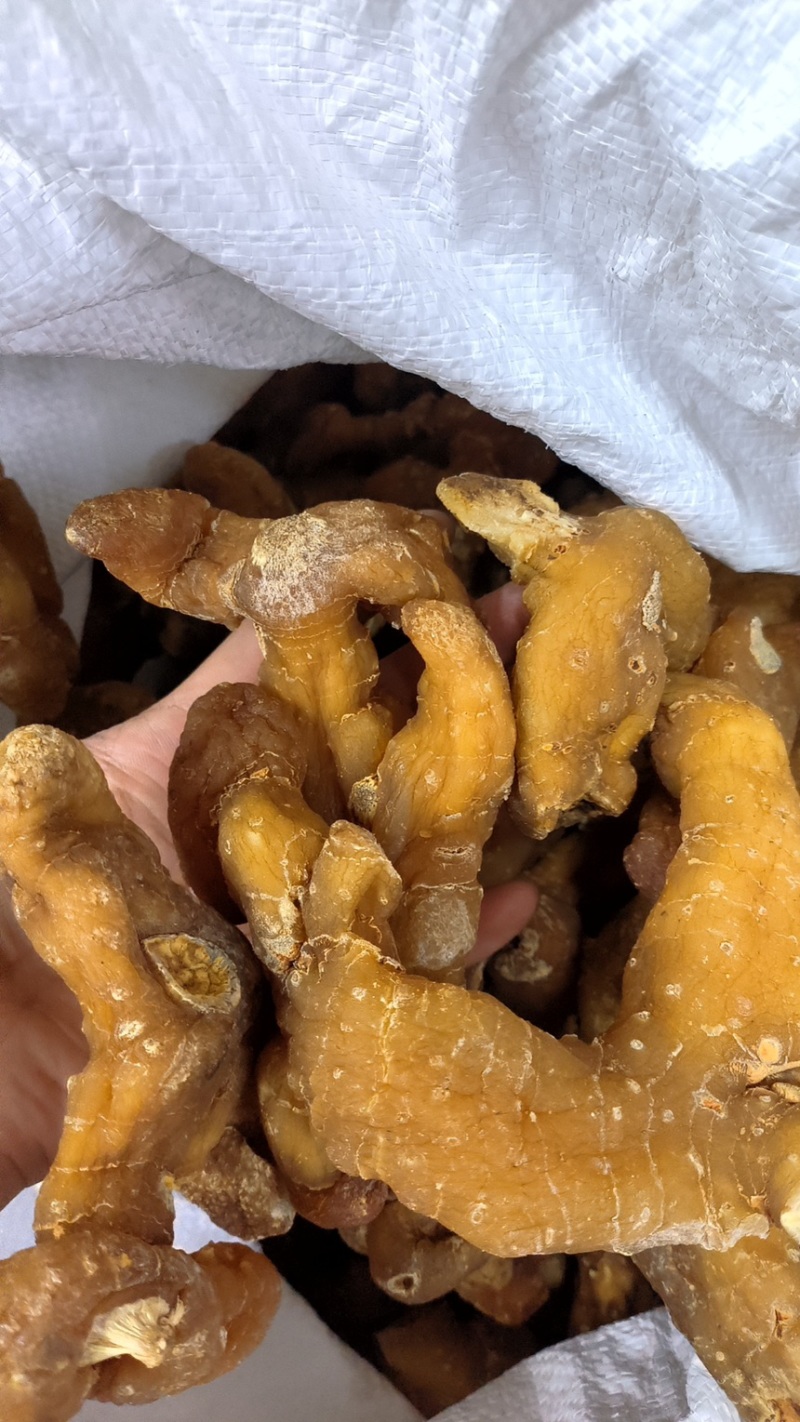 黄精黄精干货，黄精，姜型黄精条子，足干无硫