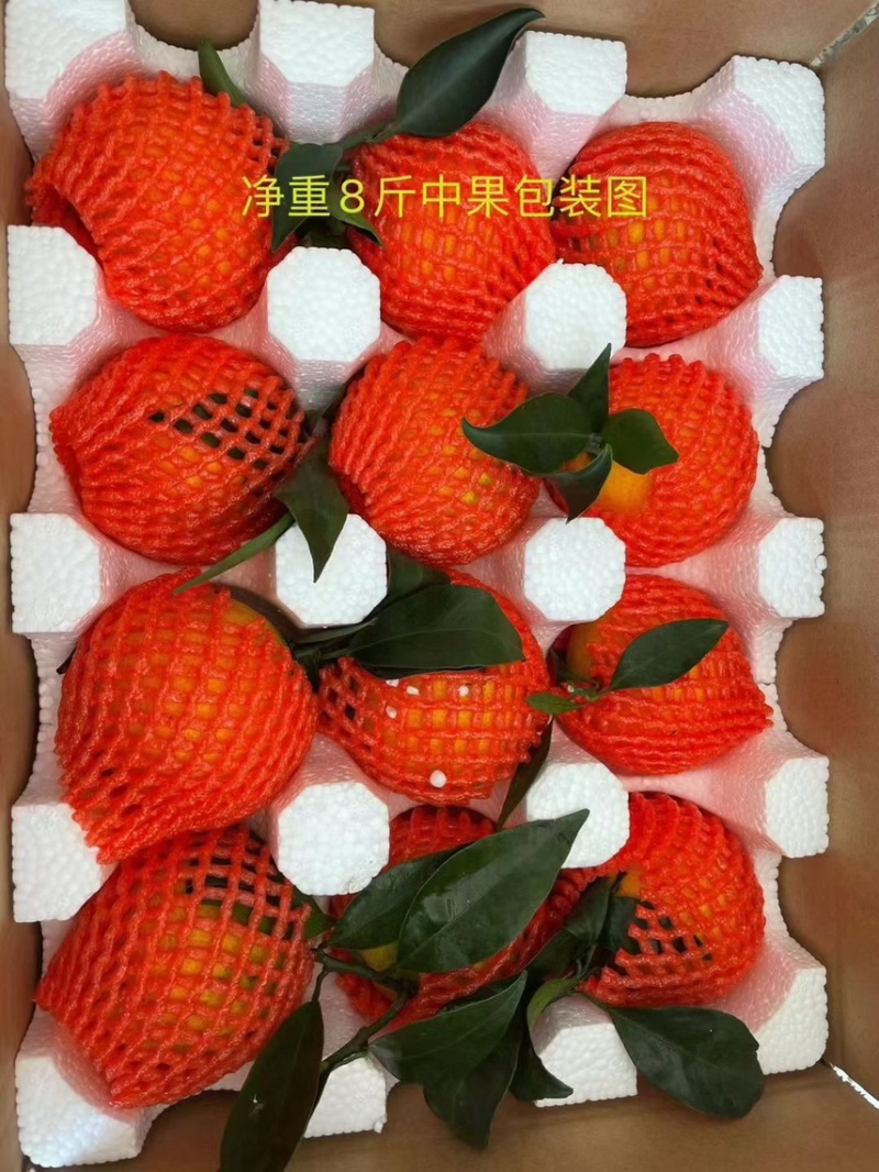四川爱媛38号果冻橙抖音快手直播团购各大电商平台一件代发
