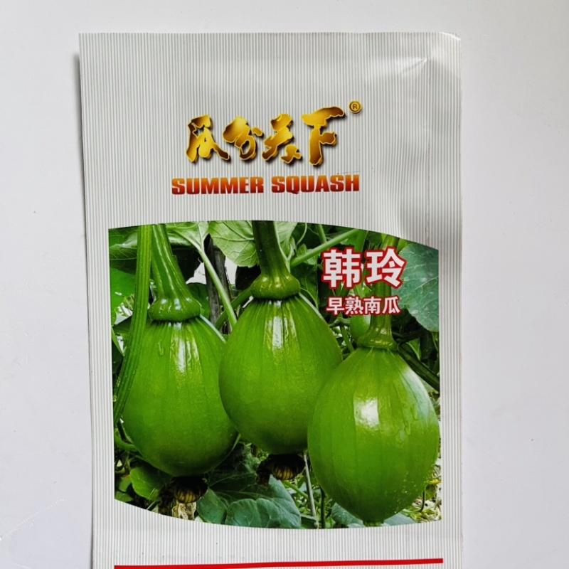 小青瓜种子杂交品种