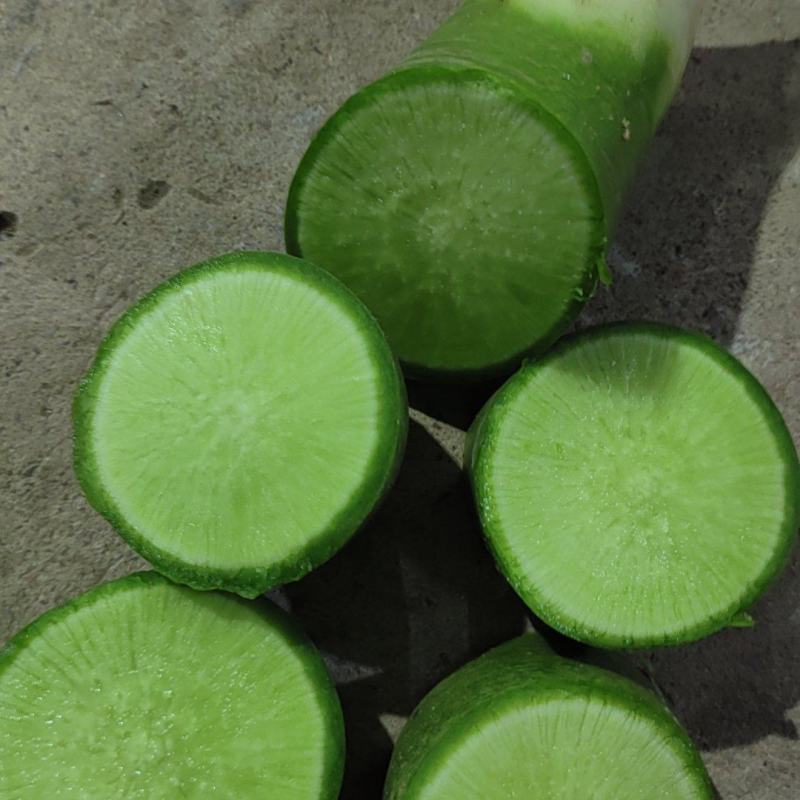 安徽水果萝卜，青萝卜，货源足电商批发，产地发货