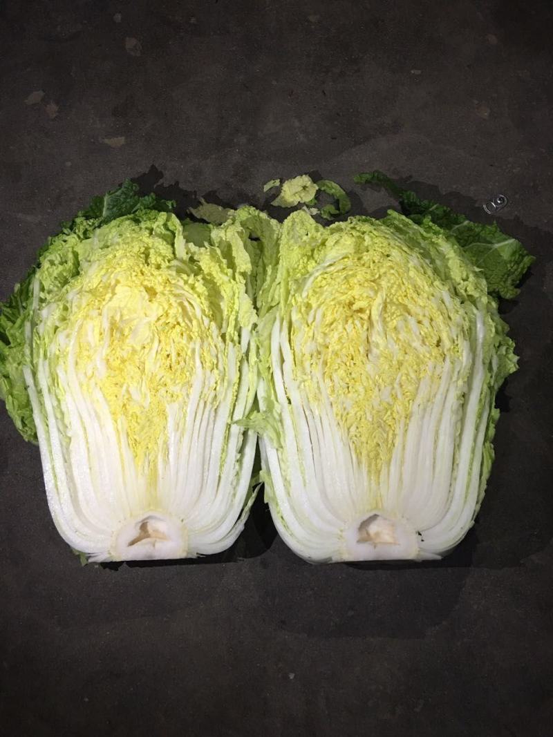 黄心白菜