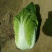 黄心白菜