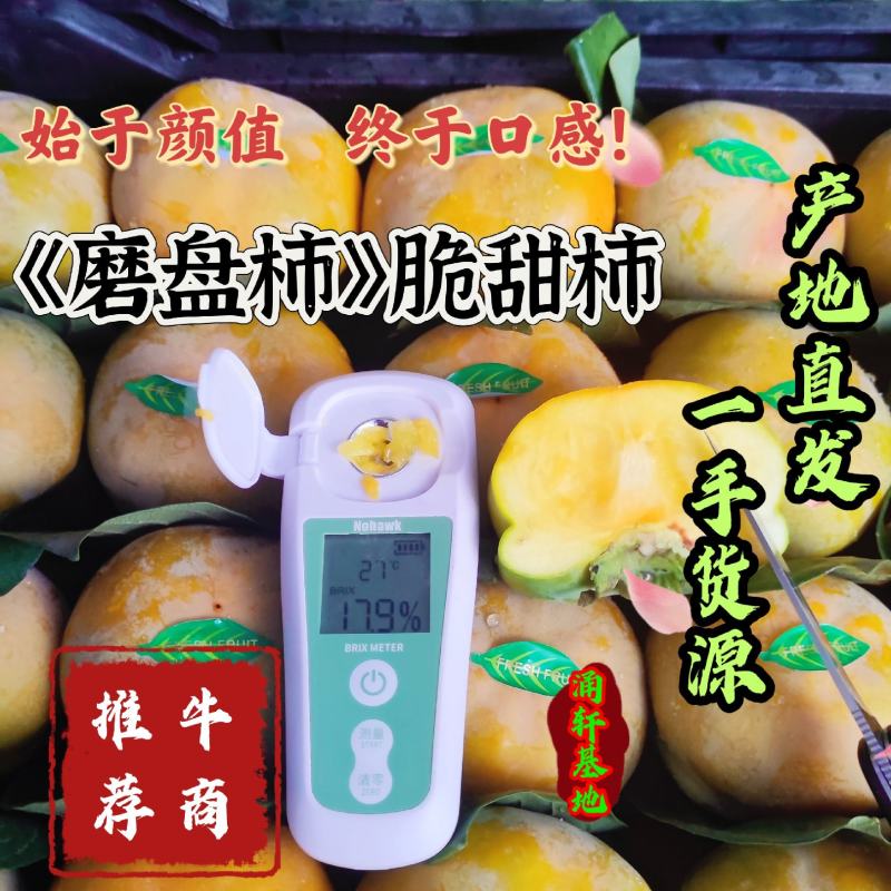 《磨盘柿》大量供应产地直发对接各大电商平台一件代发