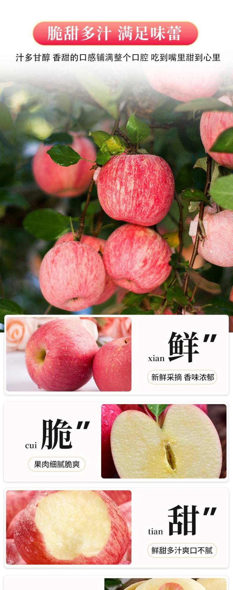 甘肃天水秦安红富士苹果新鲜水果脆甜多汁皮孕妇吃产地直发