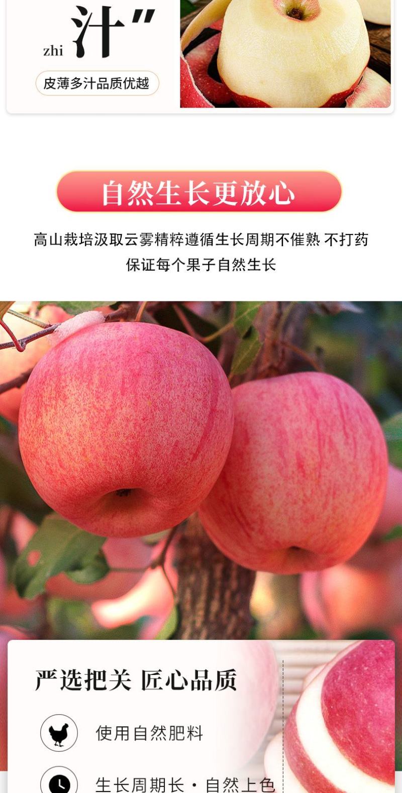 甘肃天水秦安红富士苹果新鲜水果脆甜多汁皮孕妇吃产地直发