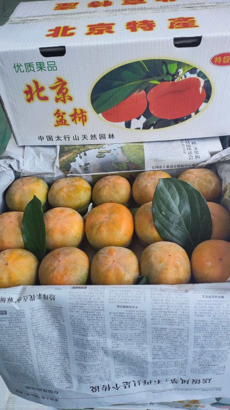 《磨盘柿》大量供应对接各大批发市场社区团购电商平台