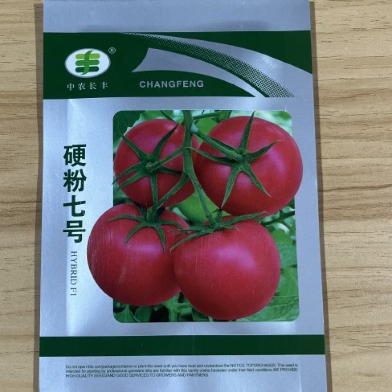 硬粉七号番茄种子