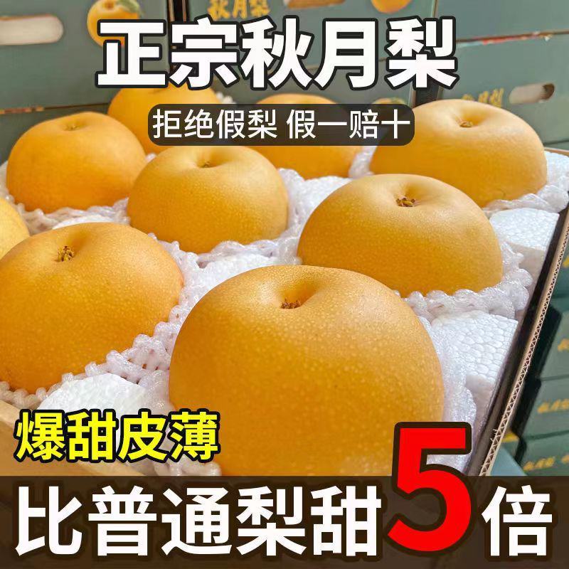 秋月梨大量上市欢迎采购来电咨询全国发货