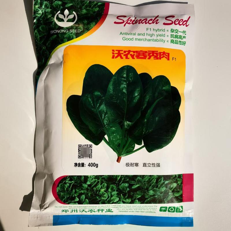 黑冠菠菜种子圆叶直立型品种耐寒品种种子