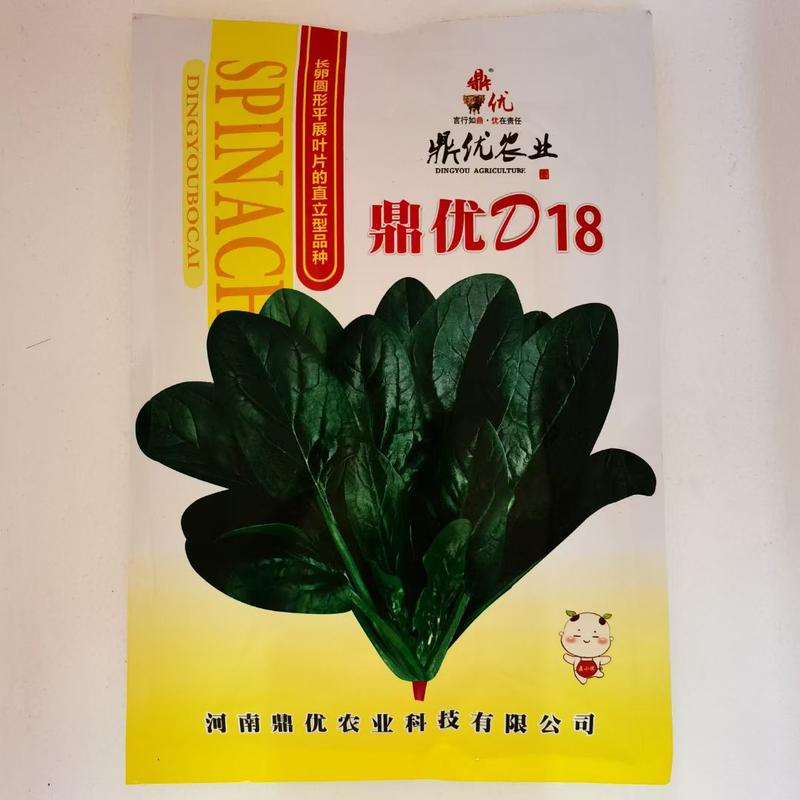 鼎优D18进口直立菠菜种子中熟产量高长势强高产抗病耐寒耐