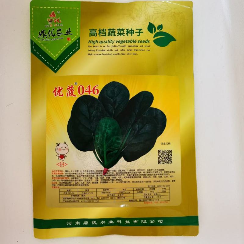 鼎优D18进口直立菠菜种子中熟产量高长势强高产抗病耐寒耐