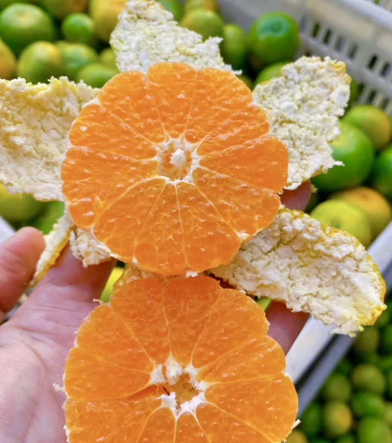蜜橘/蜜桔/大量上市/产地直发供应市场电商/欢迎咨询