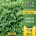 中药材川黄柏苗，基地常年种植出售规格多样化，数量规模化。