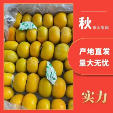 阳丰脆柿大量上市可对接电商社区团购各大商超供应链采购商