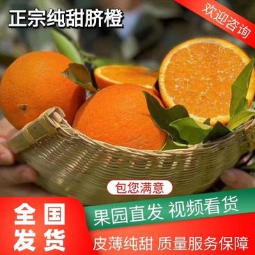 【优质脐橙】脐橙大量上市对接市场，电商，团购，一手货源