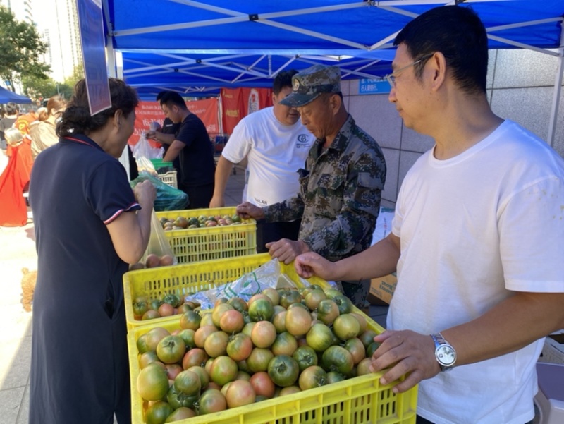 东北特产草莓西红柿子铁柿子盐碱地小时候的味道