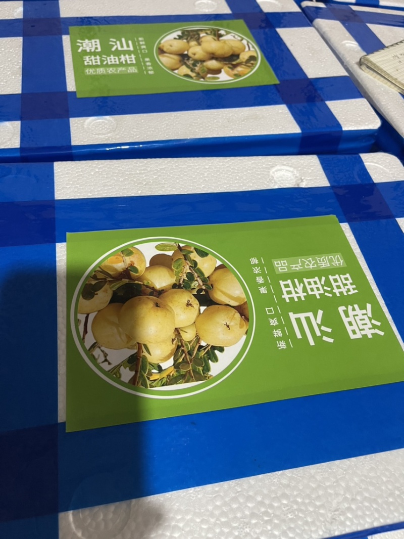 广东甜油柑牛柑果滇橄榄榨汁加工零售批发大量供应