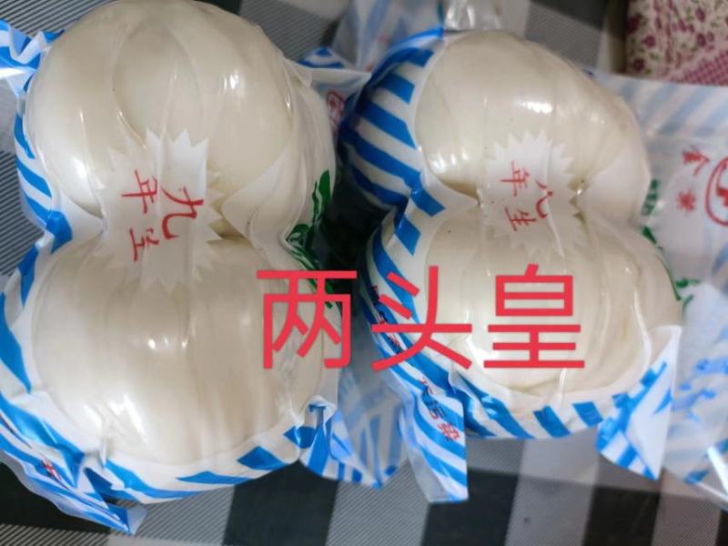 兰州鲜百合，甜脆可口，【2到3颗大果】产地直发电联
