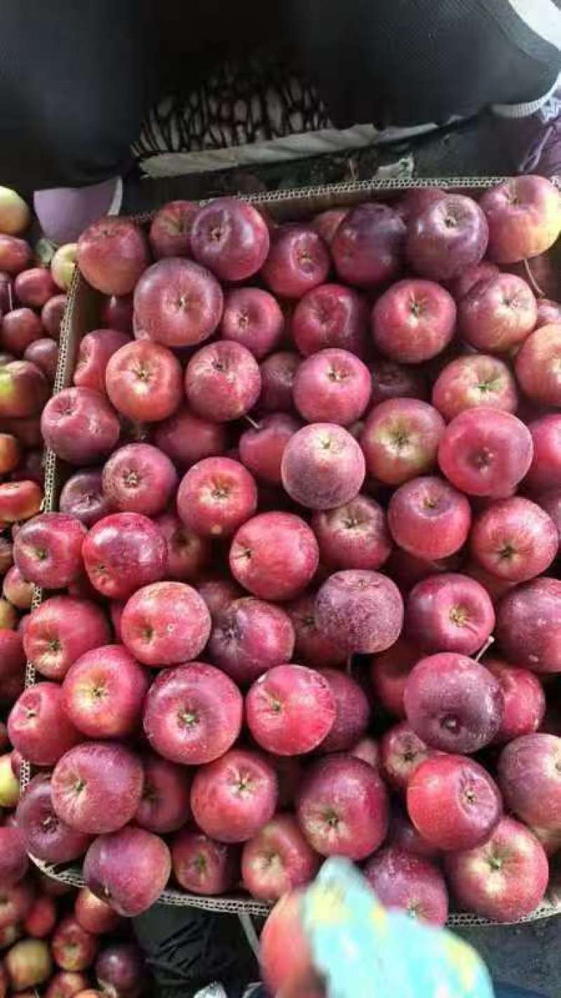 精品花红苹果龙丰果货源充足/电商出口/脆甜可口