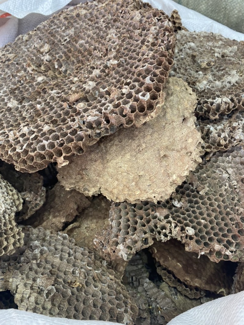 蜂房马蜂窝露蜂房煮水牙疼中药材500g