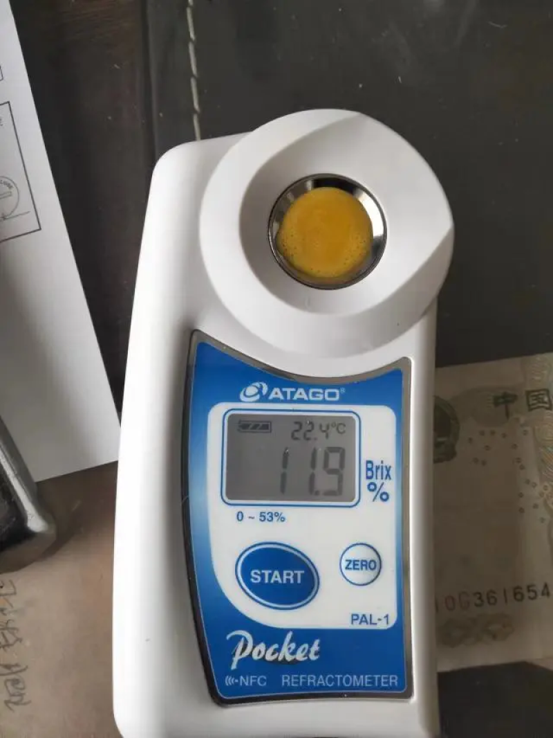 板栗南瓜，内蒙古板栗南瓜，大量现货精品供应