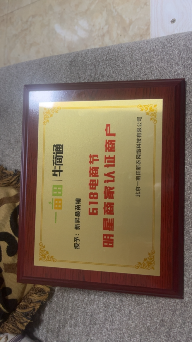 【有好货】养蚕桑树苗嫁接苗农桑14号，强桑1号