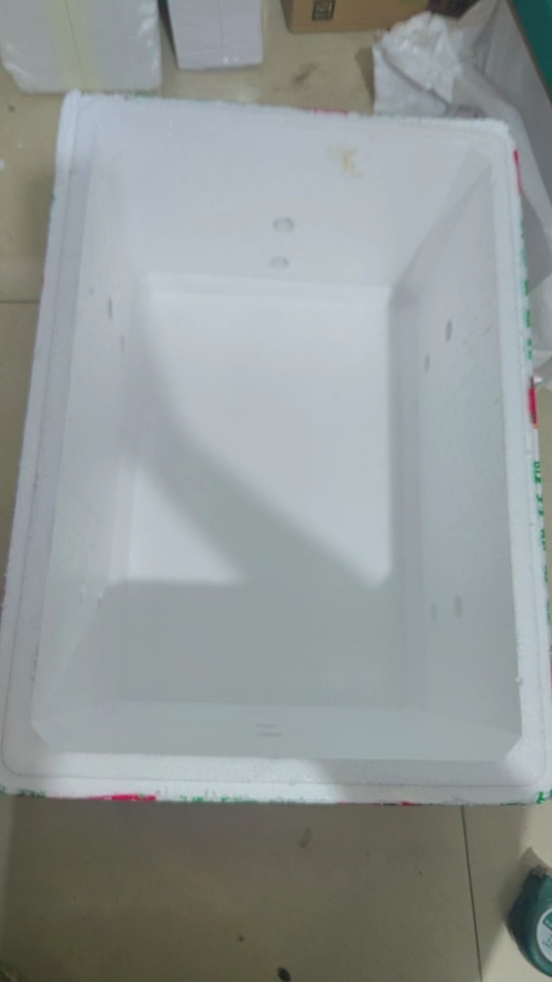 99新泡沫箱，带盖子，内径长45cm宽30cm高23cm