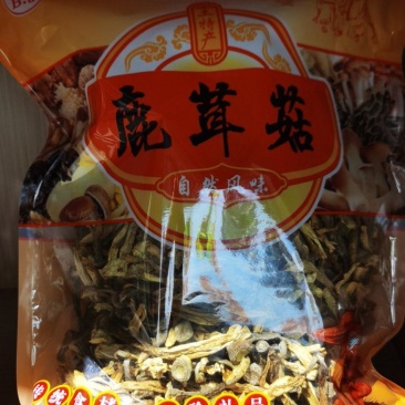 古田鹿茸菇