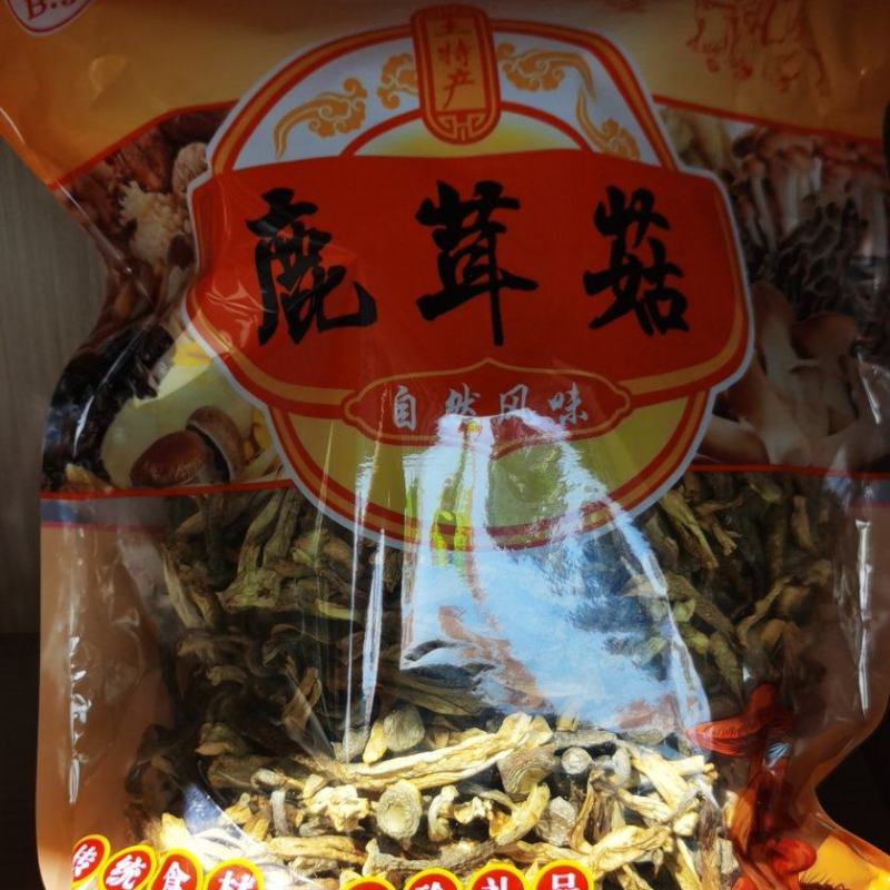 古田鹿茸菇