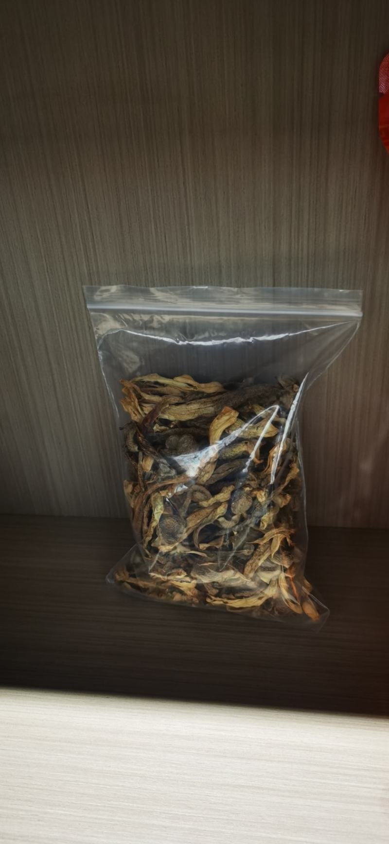 古田鹿茸菇