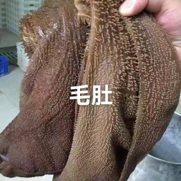 毛肚A级货优质产品质量保障一手货源全国冷链物流发货