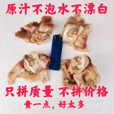 鱿鱼脖子