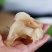 鱿鱼脖子