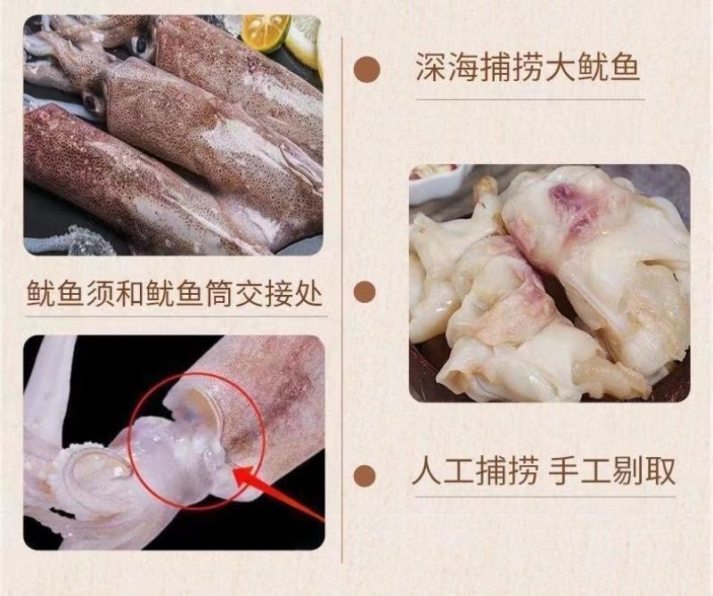鱿鱼脖子