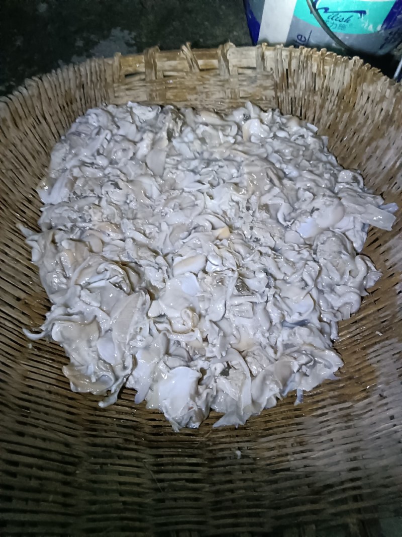 河蚌肉