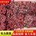 【精品克伦生】克伦生葡萄四川产发全国市场商超量大从优来电优惠