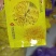 桐乡胎菊，北京菊，黄山贡菊，七月菊，金丝皇菊，新货上市，