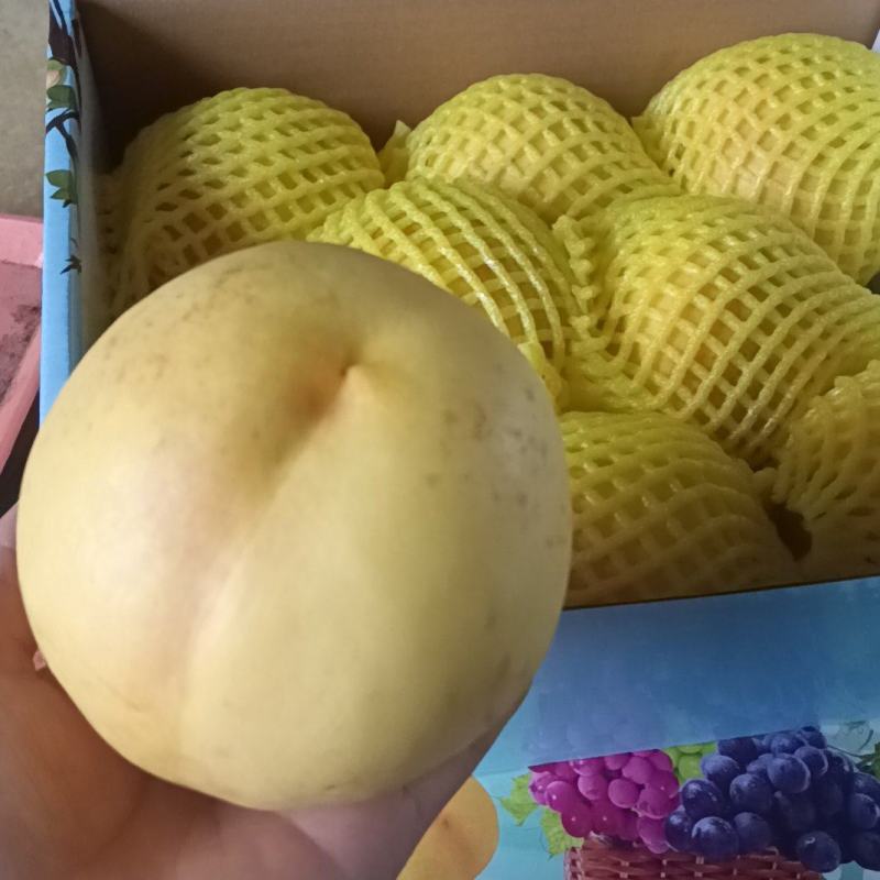 黄油桃九月开始下树的锦绣略有虎斑果质细腻口感甘甜耐储存
